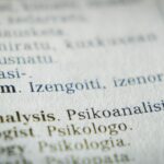 Foreign Language Dictionary