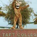 taft college lion